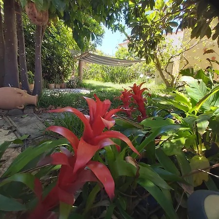 Holidays Tenerife Breakfast Inclusive Wifi Pool Fr Tatil Evi *