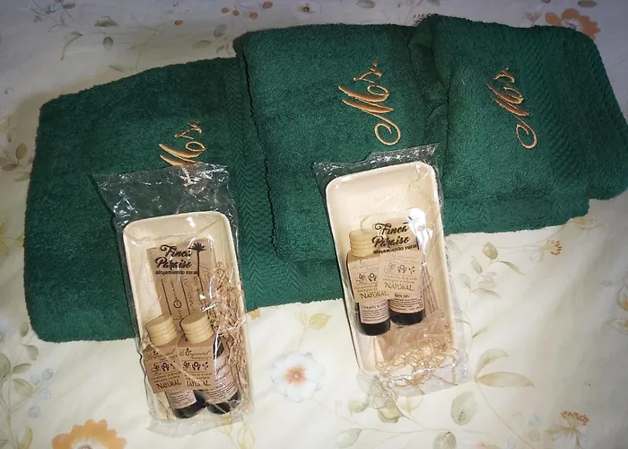 Holidays Tenerife Breakfast Inclusive Wifi Pool Fr Semesterbostad La Laguna (Tenerife)