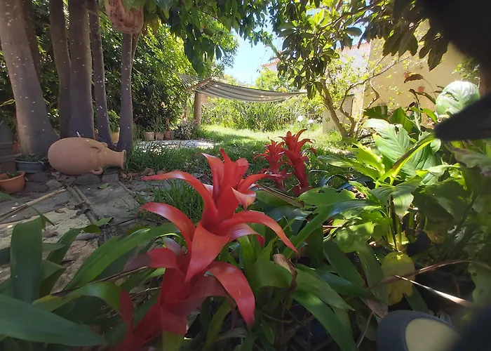 Holidays Tenerife Breakfast Inclusive Wifi Pool Fr בית נופש *